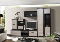 System SONEO 